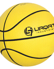 Custom Logo Basketballs - Bulk Order